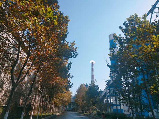 “醉美”重山秋