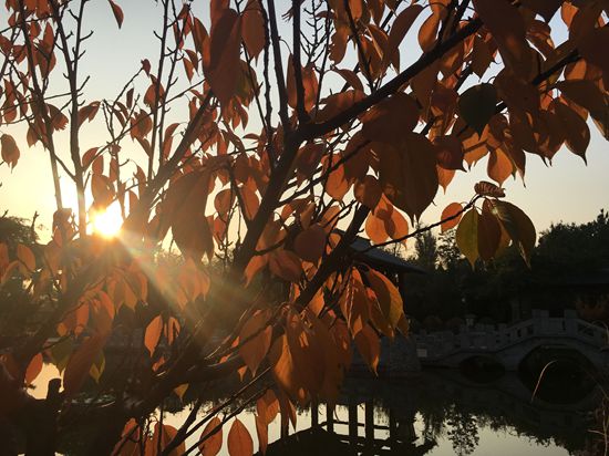 “醉美”重山秋(二)2