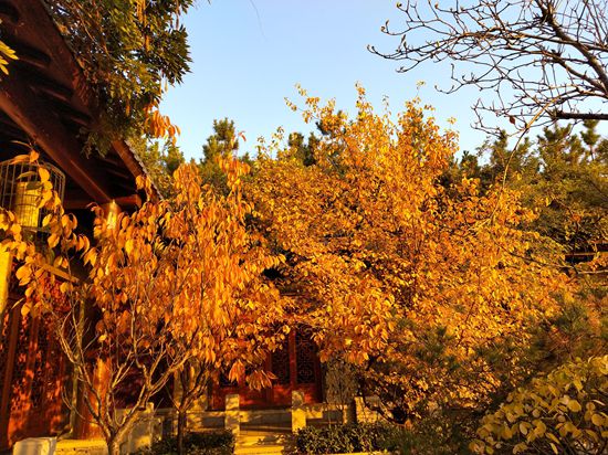 “醉美”重山秋(二)2