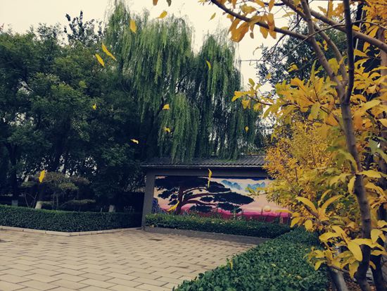 “醉美”重山秋(二)2