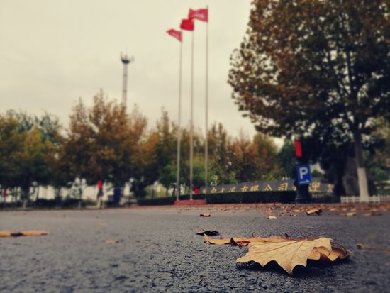 “醉美”重山秋(二)2