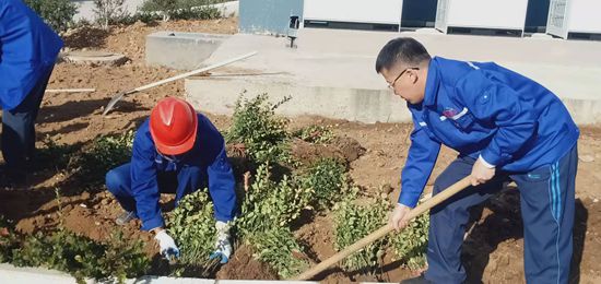集團機關(guān)黨支部組織綠化活動77