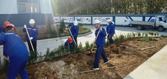 集團機關(guān)黨支部組織綠化活動77