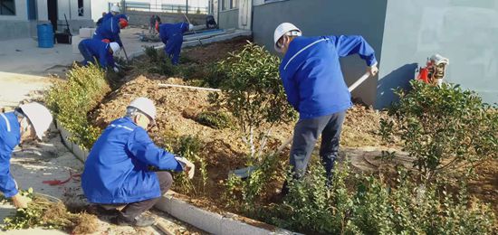 集團機關(guān)黨支部組織綠化活動77