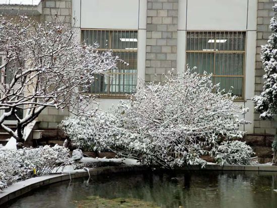 大修進(jìn)行時，這里有一群可愛的重山人......41