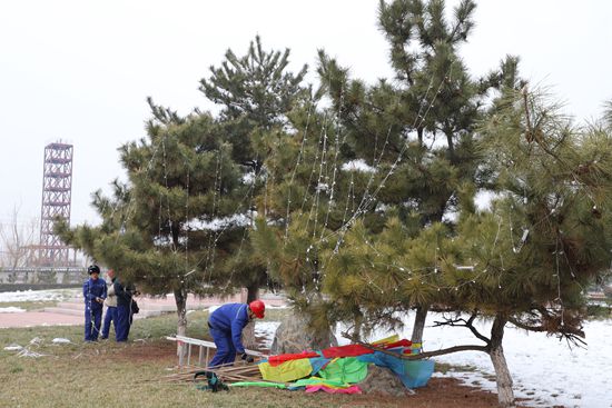 大紅燈籠高高掛 喜氣洋洋過春節(jié)68