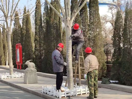 美麗重山的踐行者——記魯中水泥動(dòng)力車間46