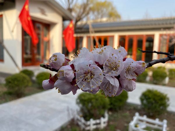 重山春已到 奮斗正當時21