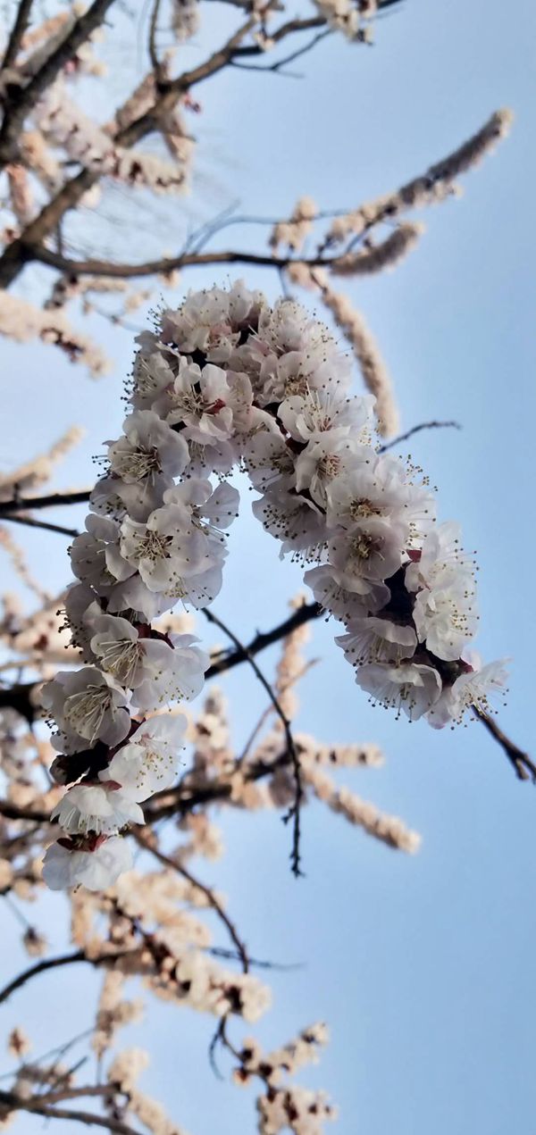 重山春已到 奮斗正當時21