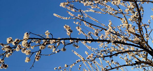 重山春已到 奮斗正當時21