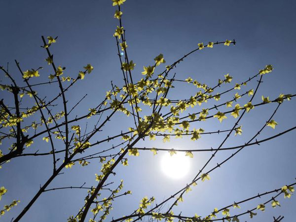 重山春已到 奮斗正當時21