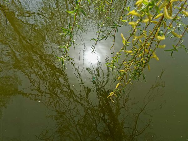 重山春已到 奮斗正當時21