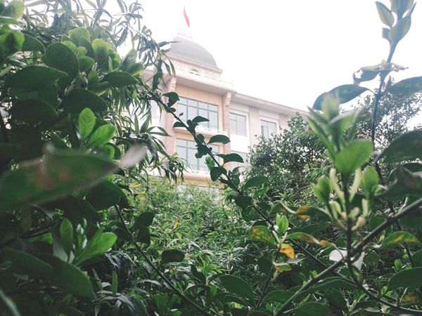 重山春已到 奮斗正當時21