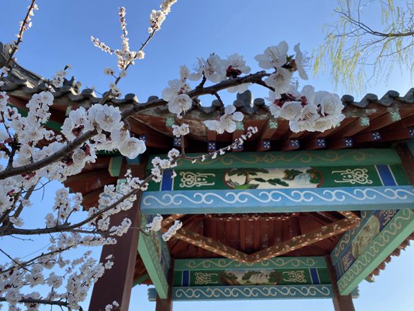 重山春已到 奮斗正當時21