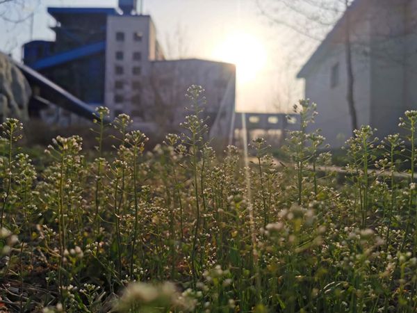 重山春已到 奮斗正當時21