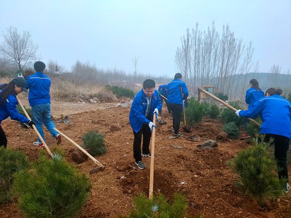 植樹綠化進(jìn)行時70