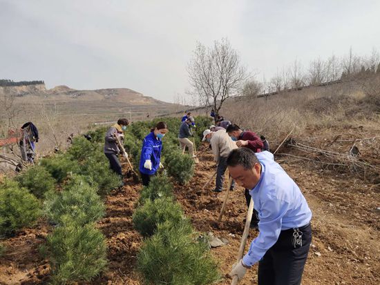 植樹綠化進(jìn)行時70