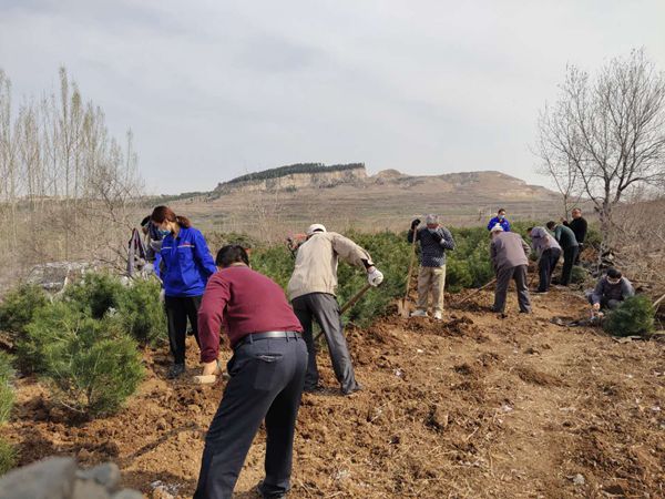 植樹綠化進(jìn)行時70