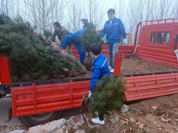 植樹綠化進(jìn)行時70