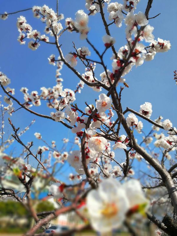 【重山影像】重山春已到 奮斗正當(dāng)時(shí)（二）20