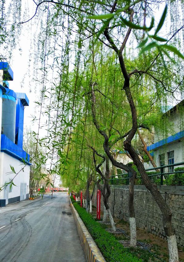 【重山影像】重山春已到 奮斗正當(dāng)時(shí)（二）20