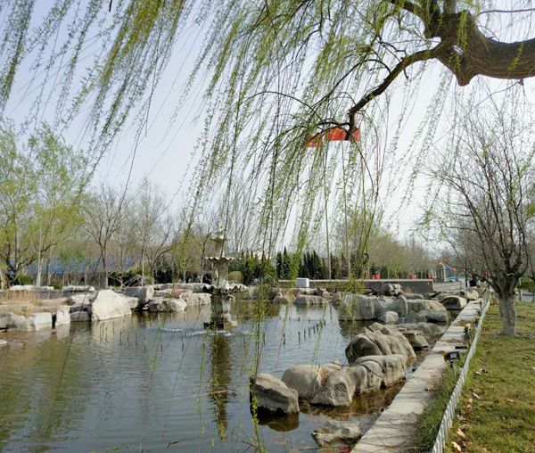 【重山影像】重山春已到 奮斗正當(dāng)時(shí)（二）20