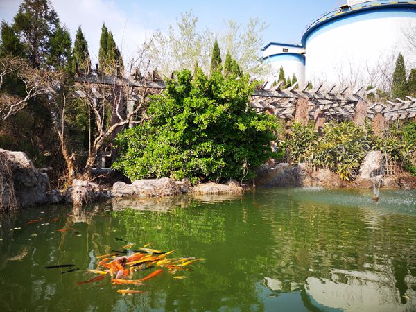 【重山影像】重山春已到 奮斗正當(dāng)時(shí)（二）20