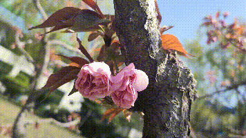 【重山影像】重山春已到 奮斗正當(dāng)時(shí)(四)28