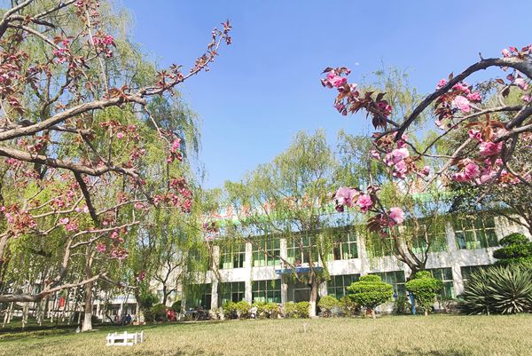 【重山影像】重山春已到 奮斗正當(dāng)時(shí)(四)28