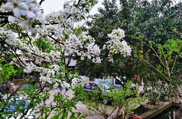 【重山影像】重山春已到 奮斗正當(dāng)時(shí)(四)28