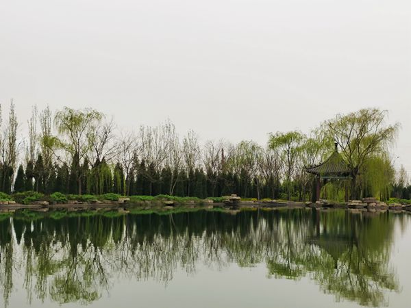 【重山影像】重山春已到 奮斗正當(dāng)時(shí)(四)28