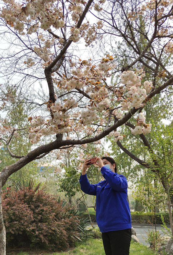 【重山影像】重山春已到 奮斗正當(dāng)時(shí)(四)28