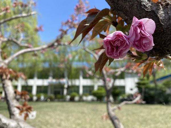 【重山影像】重山春已到 奮斗正當(dāng)時(shí)(四)28