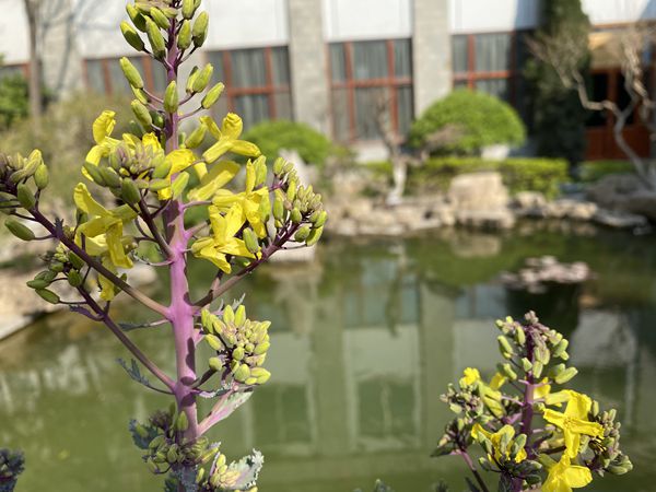 【重山影像】重山春已到 奮斗正當(dāng)時(shí)(四)28