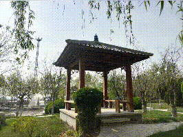 【重山影像】重山春已到 奮斗正當(dāng)時(shí)（五）2