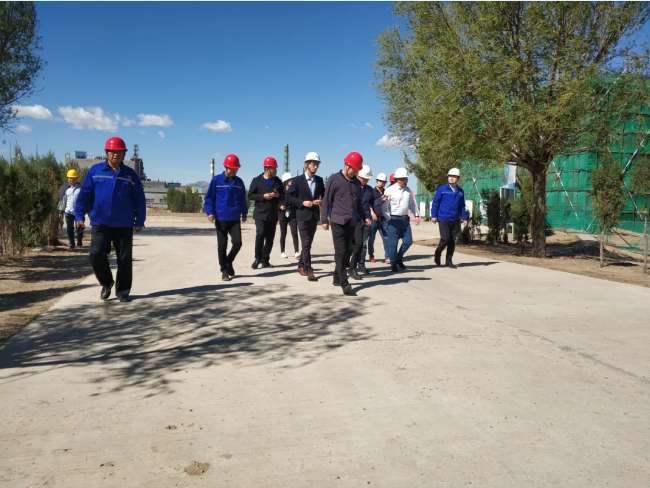 集團(tuán)公司對(duì)鵬峰化工、黃驊三陽(yáng)進(jìn)行管理審核52