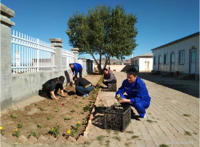 鵬峰化工開展綠化活動(dòng)85