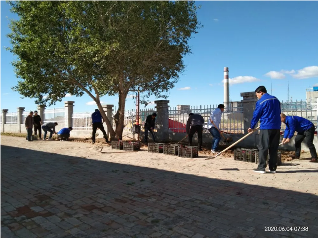 鵬峰化工開展綠化活動(dòng)85