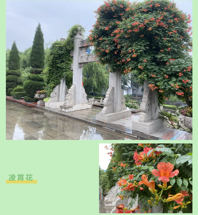 【重山影像】一起來看雨中的重山64