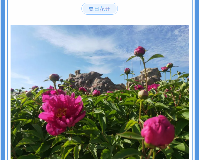 【重山影像】愿你以夢為馬 不負韶華94