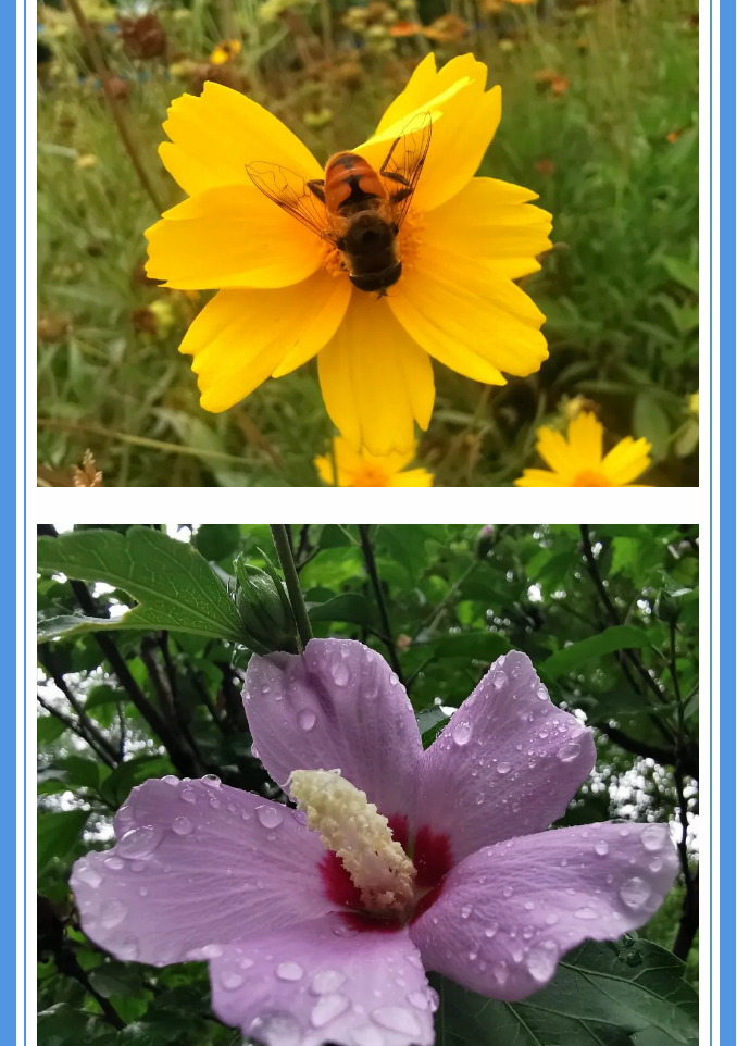 【重山影像】愿你以夢為馬 不負韶華94