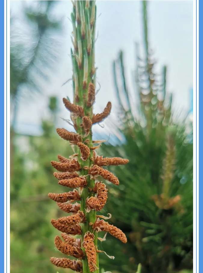 【重山影像】愿你以夢為馬 不負韶華94