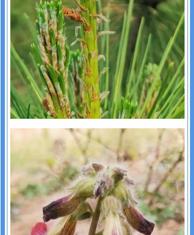 【重山影像】愿你以夢為馬 不負韶華94