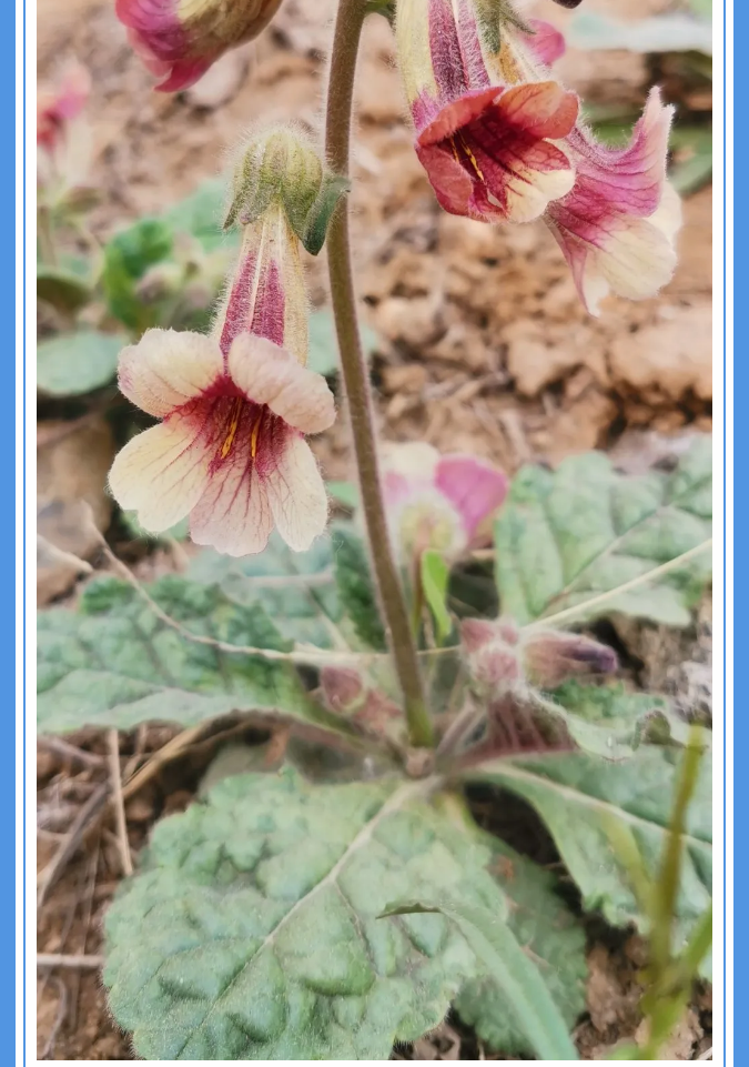 【重山影像】愿你以夢為馬 不負韶華94