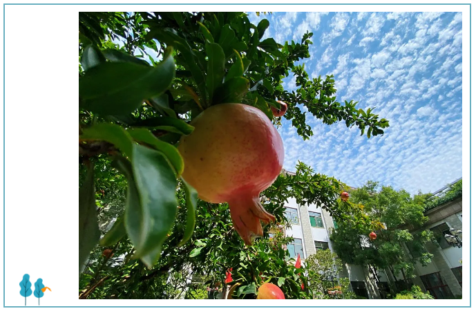 重山影像|藍(lán)天白云下的綠色重山8