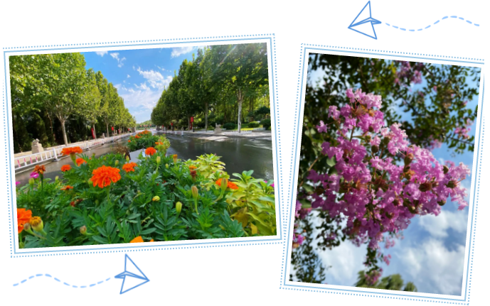 重山影像|藍(lán)天白云下的綠色重山8