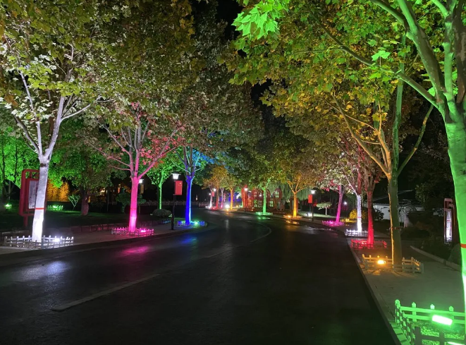 夜空中最亮的星——黑夜里的堅守者9