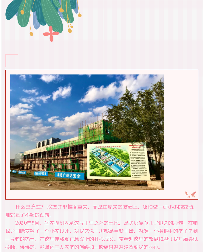 【員工風采】鵬峰，我向你奔赴而來45