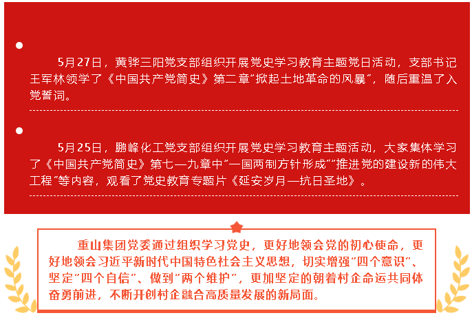 五月份黨史學(xué)習(xí)教育簡報17