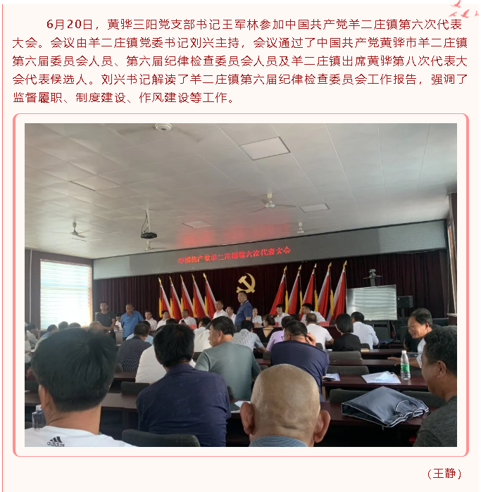 黃驊三陽黨支部參加中國共產(chǎn)黨羊二莊鎮(zhèn)第六次代表大會49